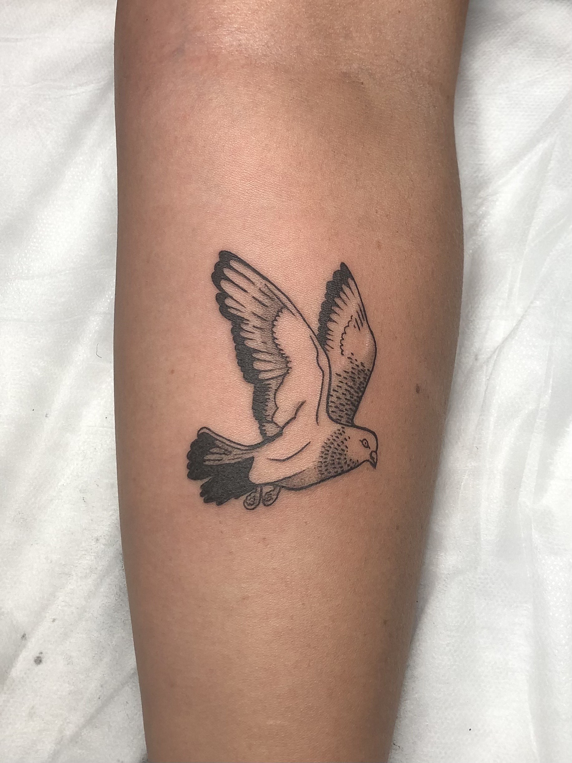 Adelaide tattoo line work
